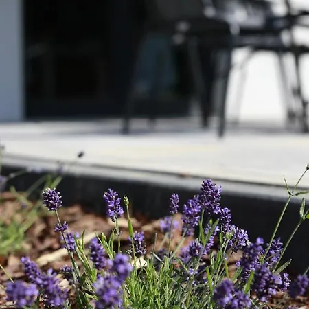 Przystan Nad Miazka 펜션 Sapowice