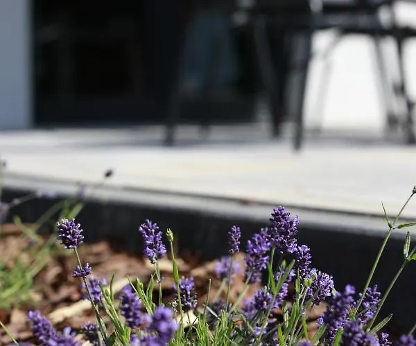 Przystan Nad Miazka Semesterbostad Sapowice