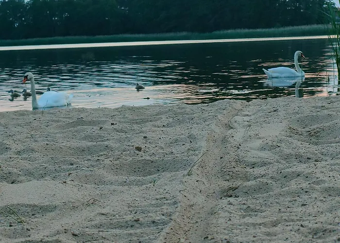 Przystan Nad Miazka Sapowice